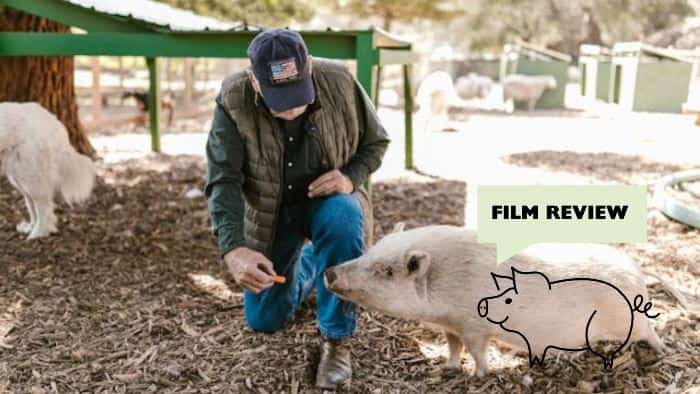 PIG-Movie-Reviews