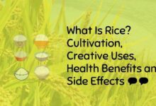 What-Is-Rice-Health-Benefits-Side-Effects