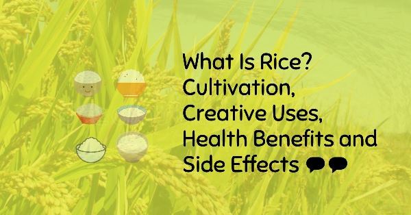 What-Is-Rice-Health-Benefits-Side-Effects