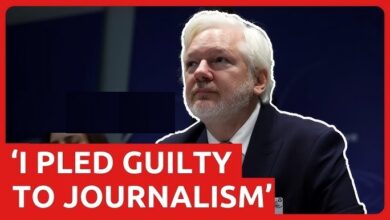 Julian-Assange-public-statement