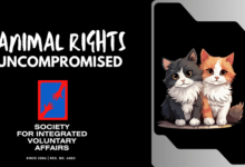 Pets-Animal-Rights