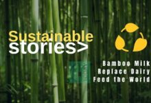 Bamboo-Milk-Sustainable-Dairy