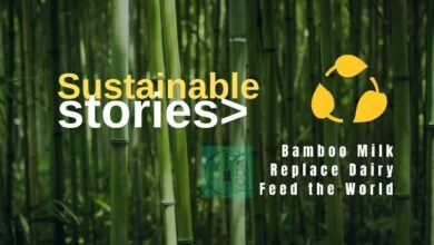 Bamboo-Milk-Sustainable-Dairy