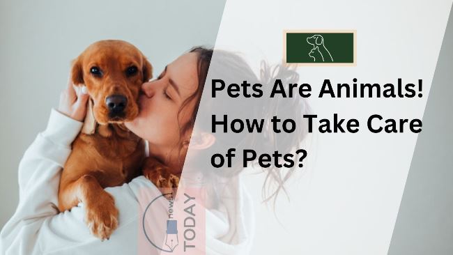 Pet-care-guide