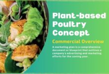 Plant-based-Poultry-Concept