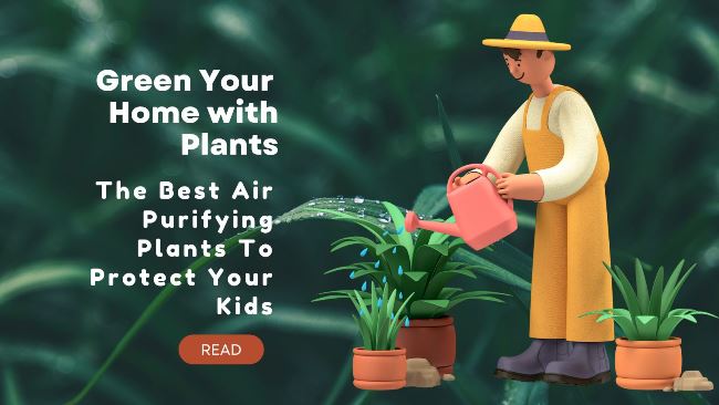 Top-Air-Purifying-Plants