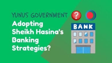 Yunus-Government- Banking-Strategies